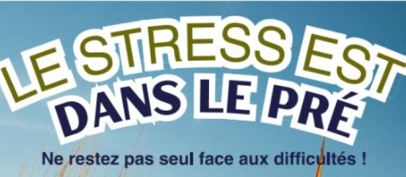 Soirée débat théâtral : Le stress dans le pré