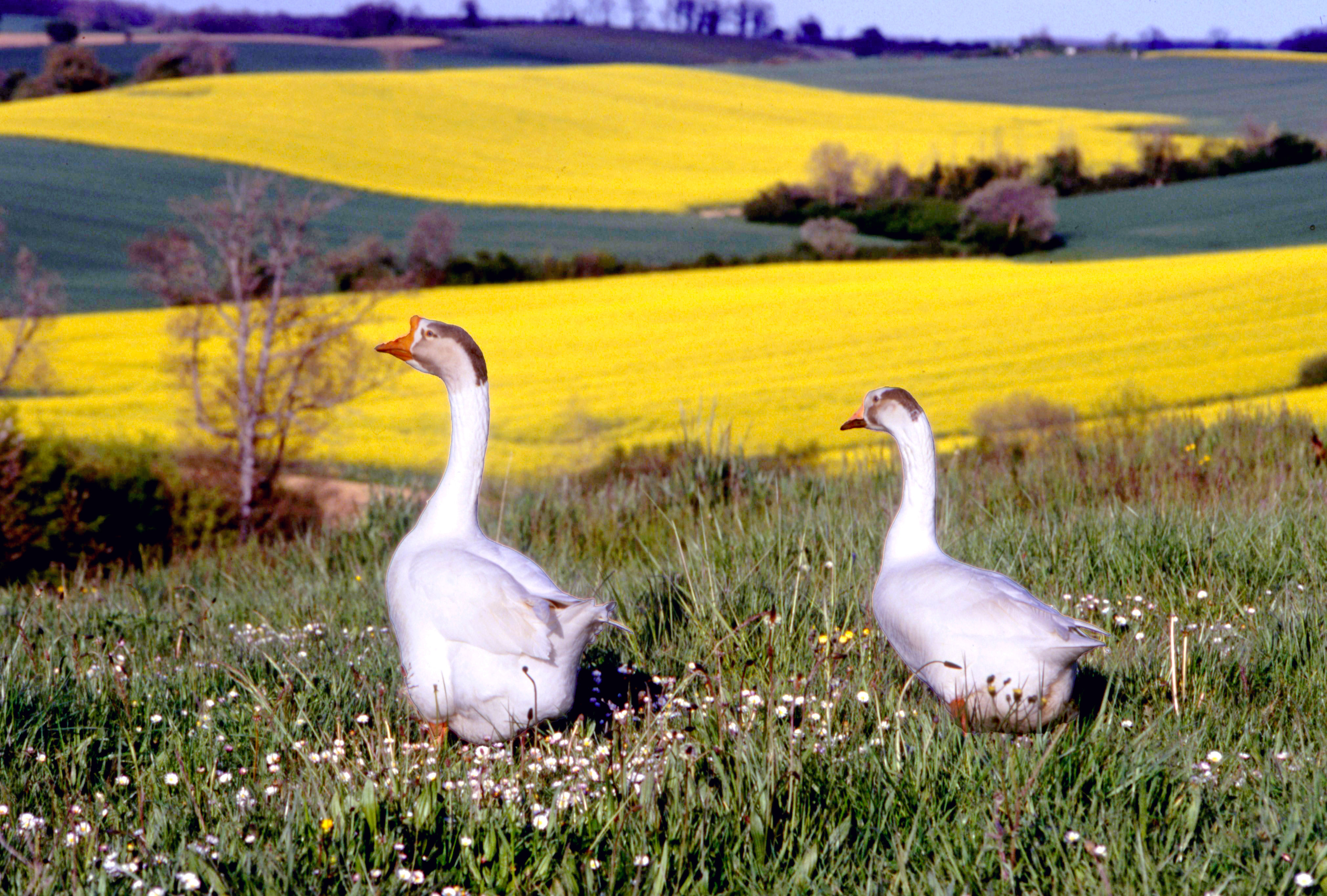 img20241004_16045134 copie.jpg
