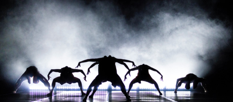 Une compagnie contemporaine en mouvement