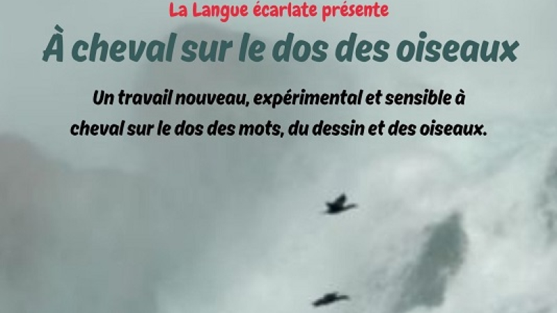 Samedi 5 avril - Lecture dessinée - à "L'Ouverture" à 20h30