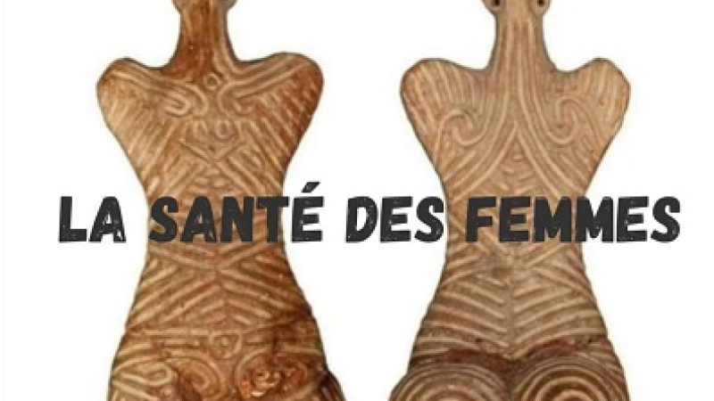 Jeudi 11 avril à  19h à "L'Ouverture" : conférence de l'Association Pistil