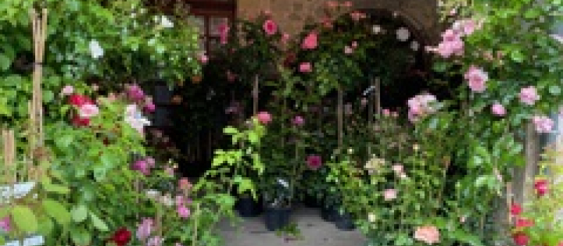 Fourcès en fleurs