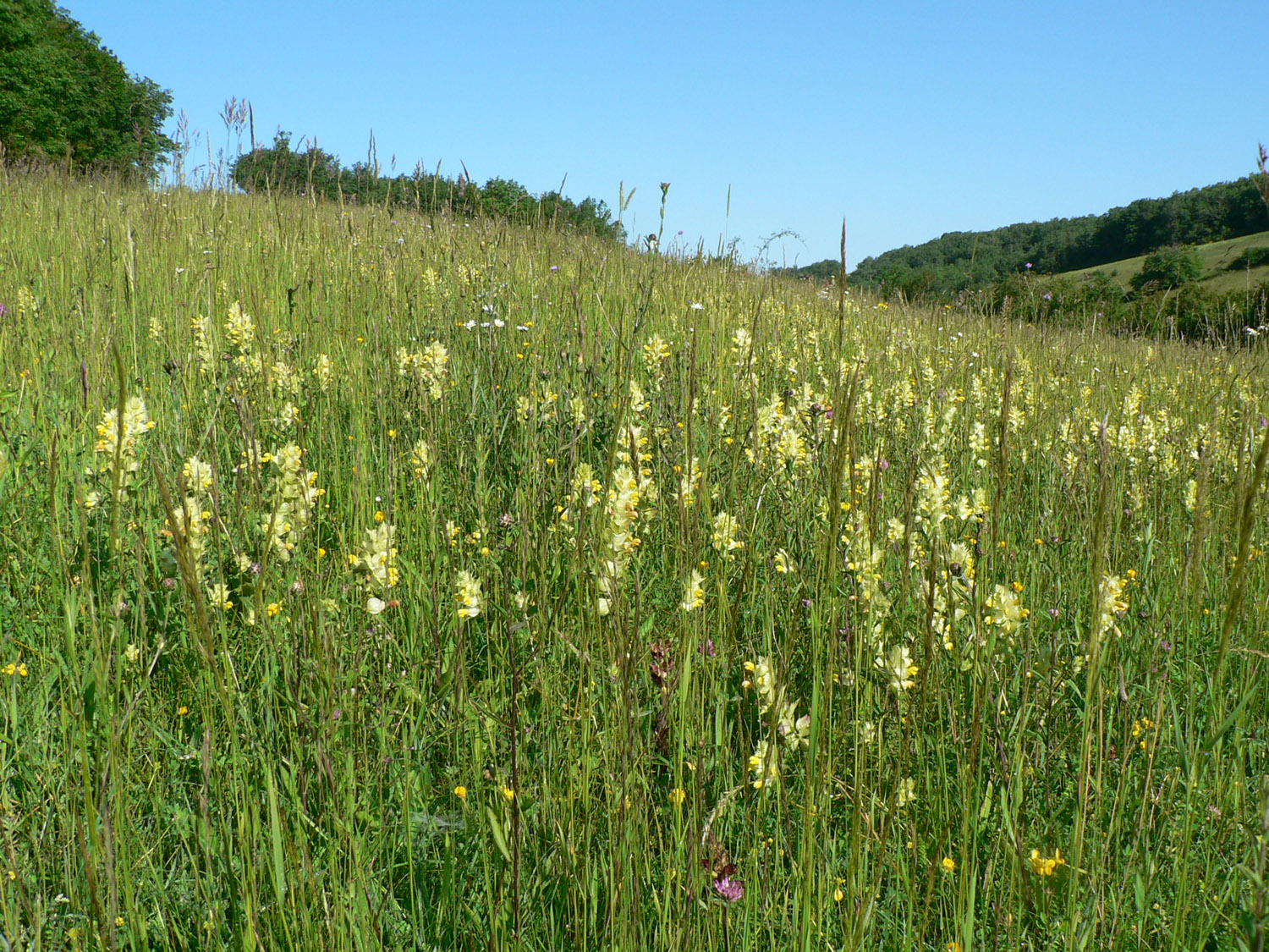 prairies-coteaux-secs.JPG