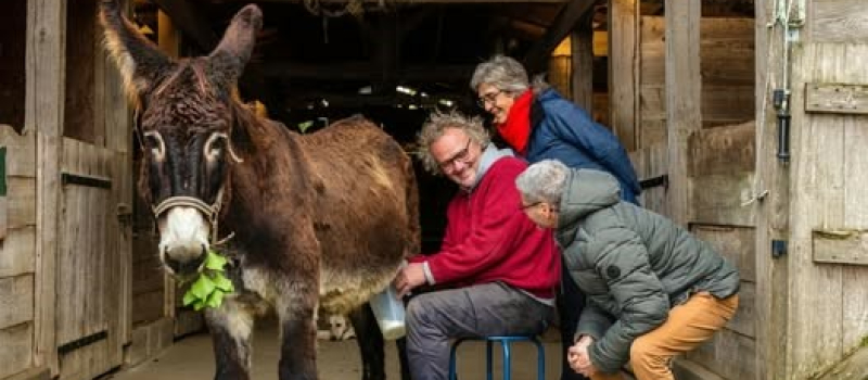 L' Asinerie d'Embazacouvre ses portes
