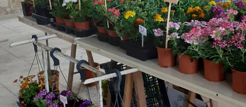 Vide grenier et marché aux fleurs