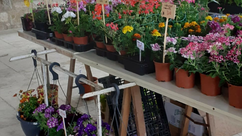 Vide grenier et marché aux fleurs