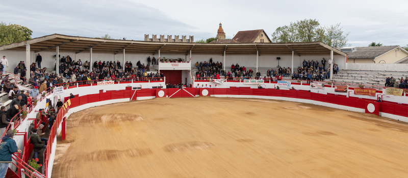 Novillada non piquée à Aignan