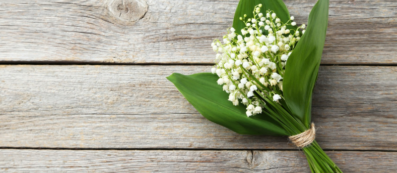 Dispositions relatives à la vente de muguet sur la voie publique