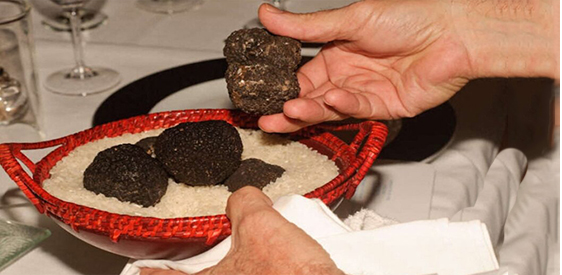 truffes-noires-pretes-a-etre-cuisinees-960x640.jpg