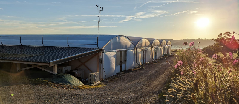 Portes ouvertes à la ferme d'aquaponie Eauzons