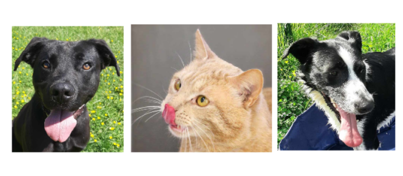 Les trois petits jeunes de la semaine !