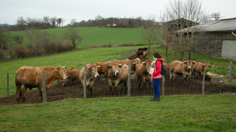 La Confédération paysanne s'oppose à la proposition de loi visant à lever les contraintes à l'exercice du métier d'agriculteur