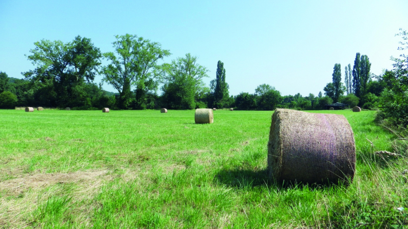Plus de 1,2 M€ de la Région pour soutenir l’installation des agriculteurs en Occitanie