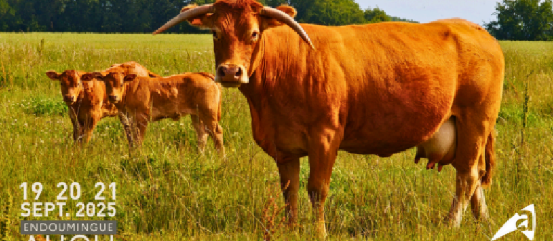 La première édition de la Foire agricole aura lieu les 19, 20 et 21 septembre 2025