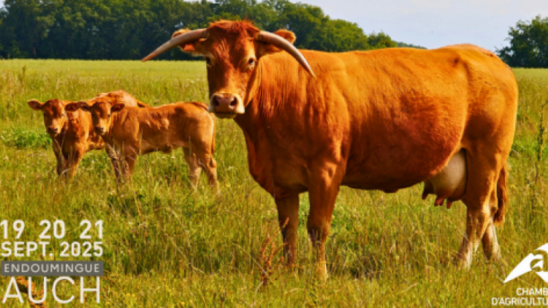 La première édition de la Foire agricole aura lieu les 19, 20 et 21 septembre 2025
