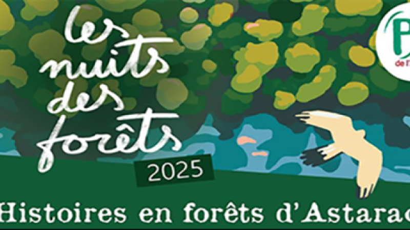 Les Nuits des forêts