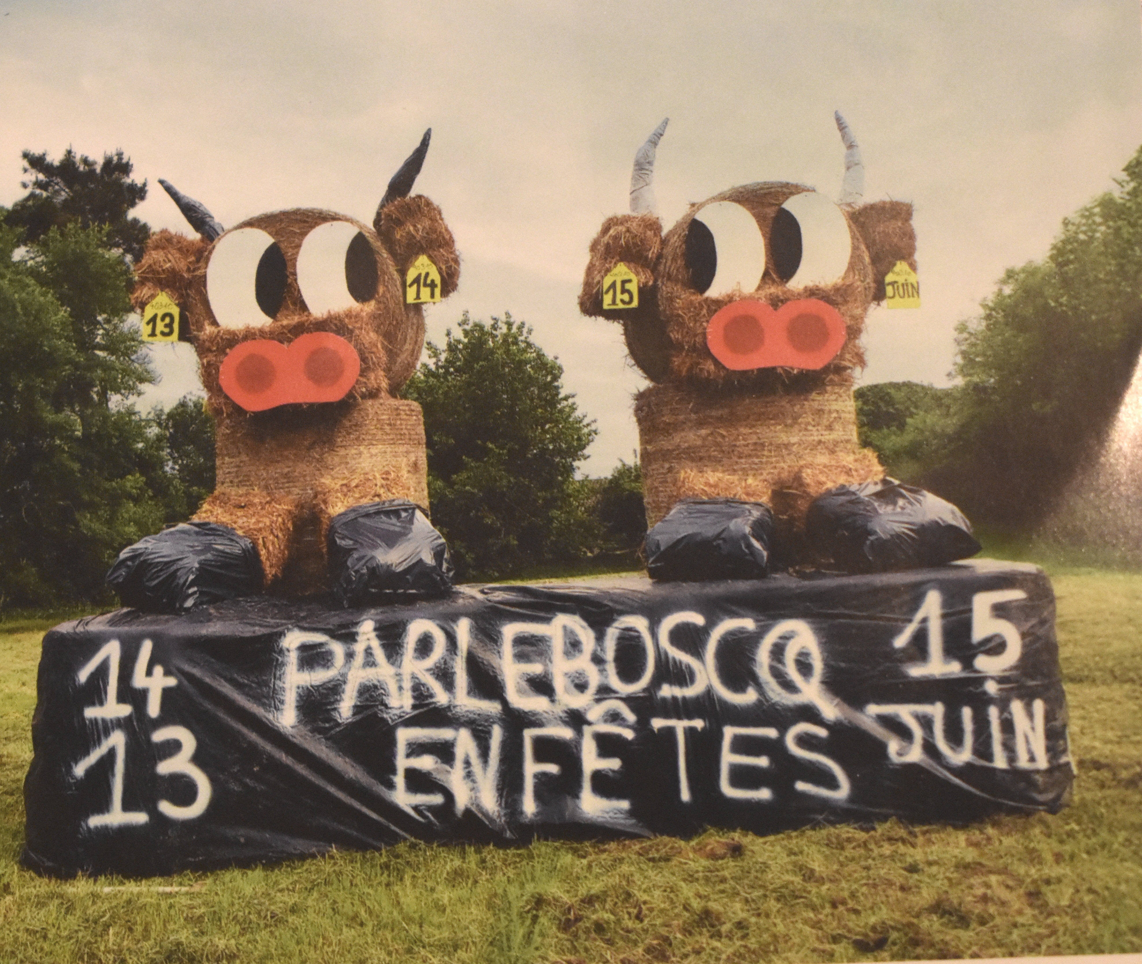 DSC_0002 - Copie (40).JPG