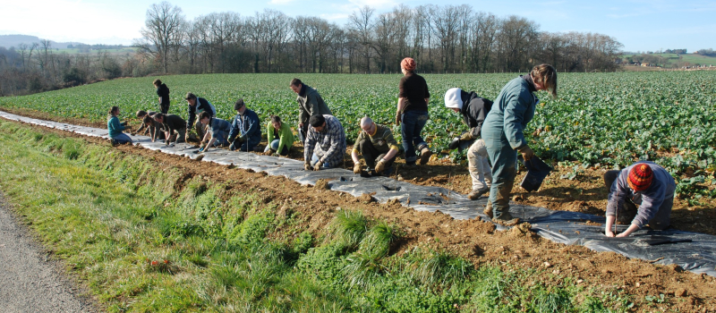 La Gascogne Toulousaine soutient la plantation sur son territoire !!