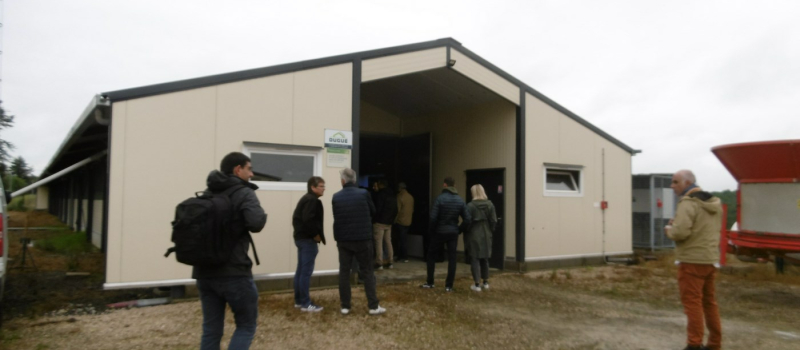 Euralis mobilisé pour redynamiser  la filière volailles
