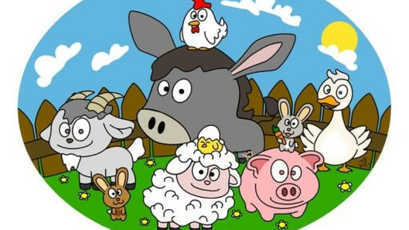 Petits et grands au respect du bien être animal