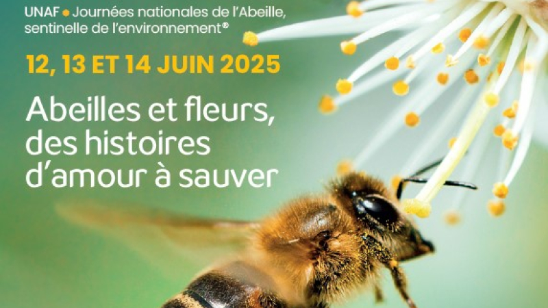 Api Days :  hygieSport  fêtera les 20 ans de l'UNAF (Union Nationale de l'Apiculture Française) les 13et 14 juin prochain