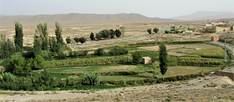 Des projets de printemps au Maroc