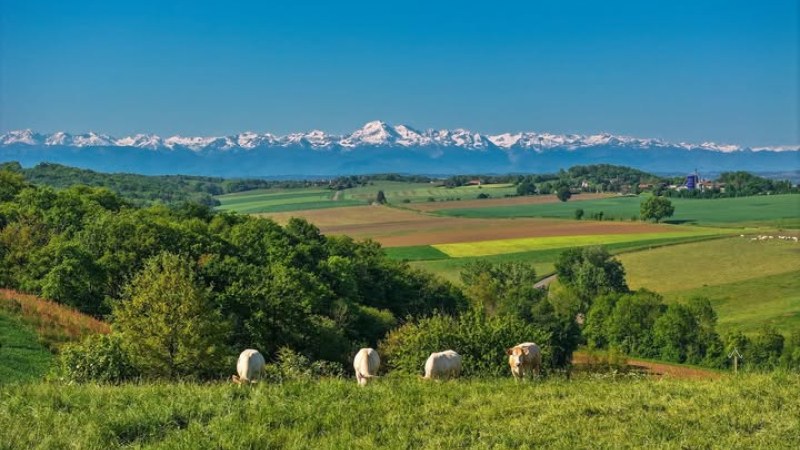 OCCITANIE : le grand retour de la ruralité est inéluctable