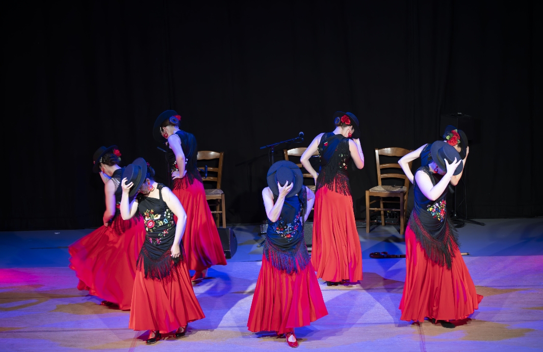 Flamenco PAVIE.jpg