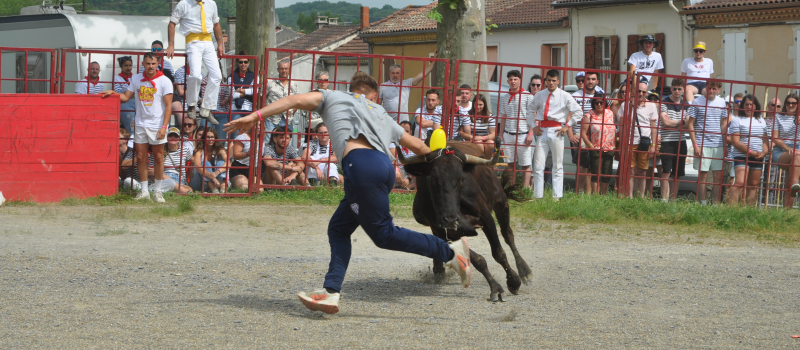 Pentecôtavic 2025 : arènes démontables et fête foraine sur le foirail