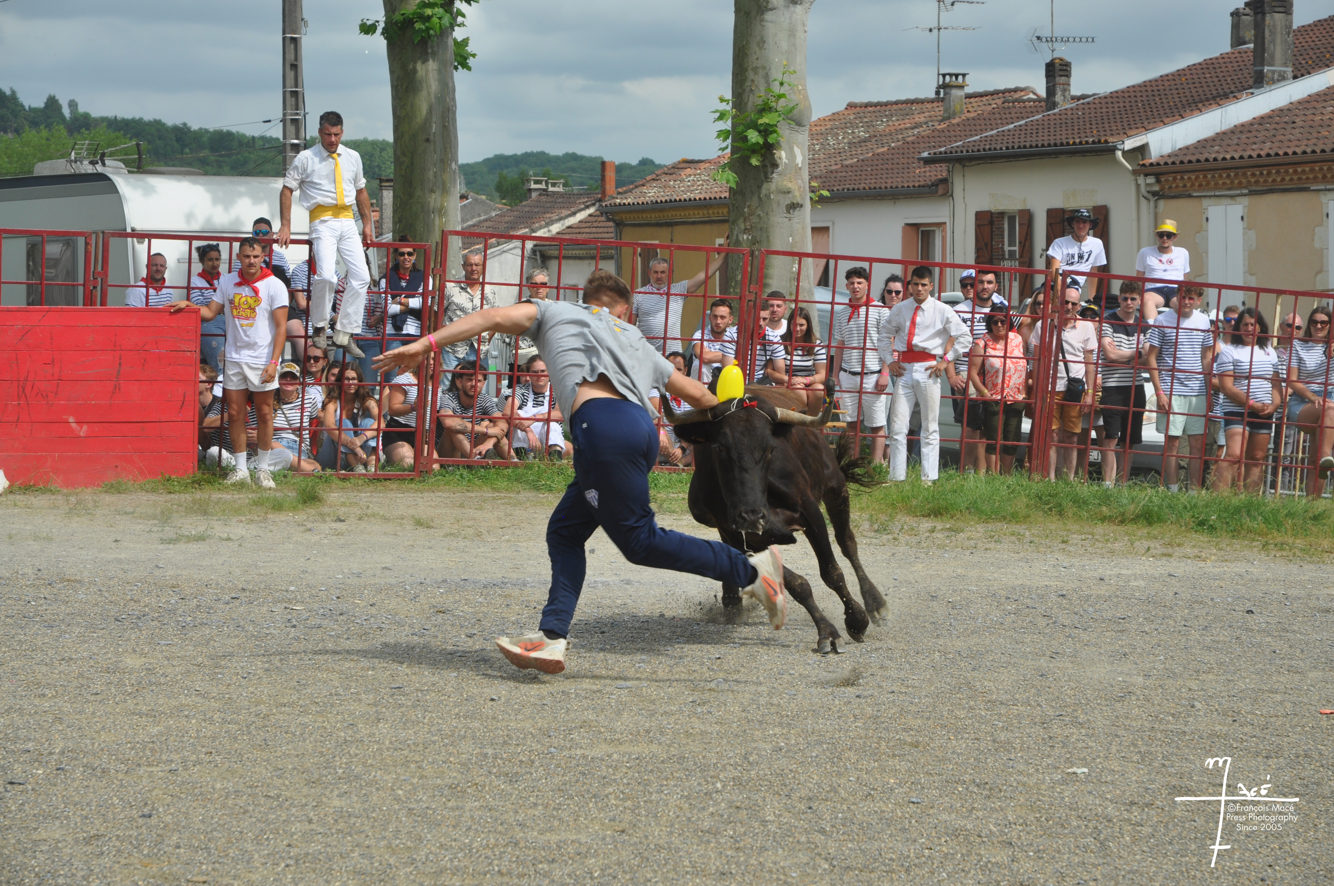 DSC_0139.jpg
