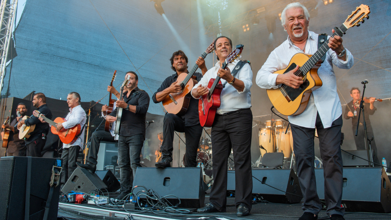 Chico & The Gypsies en live près de chez vous à ne pas manquer