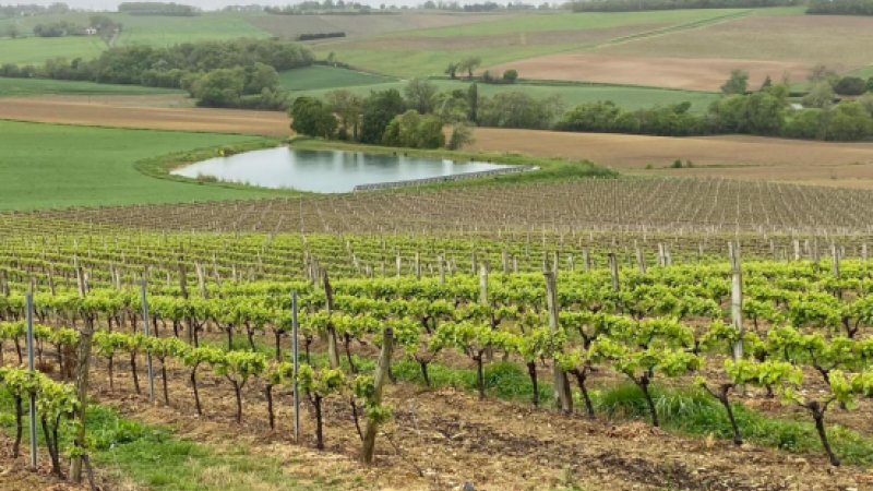 Jeunes Agriculteurs du Gers communiquent : baisse brutale de 75% de la subvention de la Chambre d’agriculture au Service de Remplacement Agricole, une décision inacceptable !!!