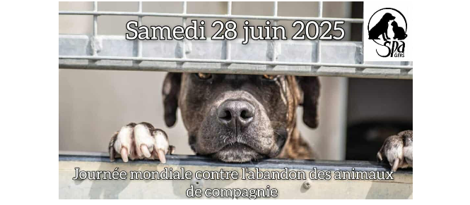Capture d’écran 2025-06-28 145011.png