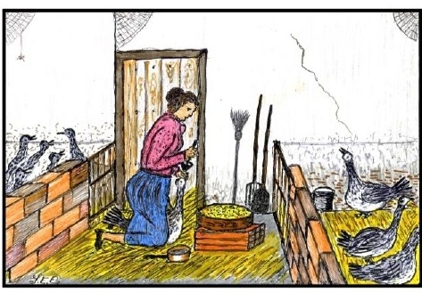 Sans titre 1.jpg