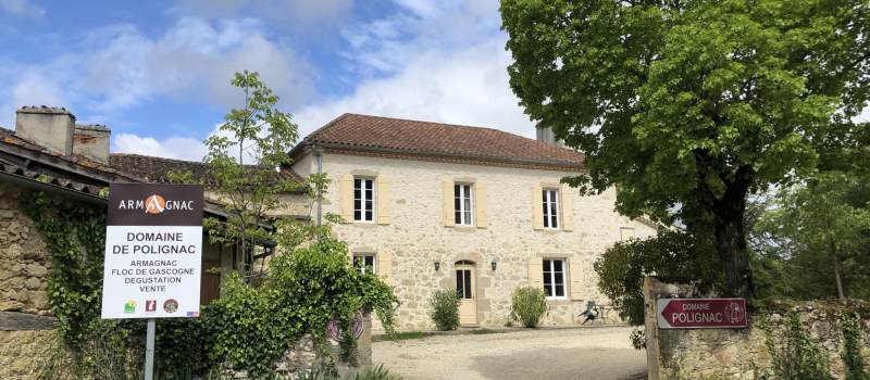 Vineart au Domaine de Polignac