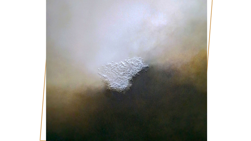 Nouvelle exposition de l'artiste peintre Marc Courtois à la galerie " L'Arcade "....