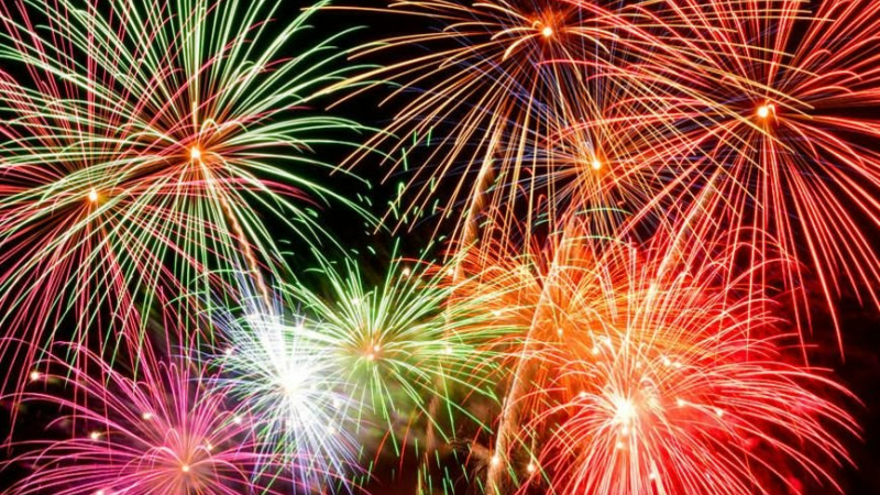 Feux d'artifice : protégez vos animaux !