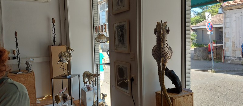 Une nouvelle exposition à découvrir à la Ligne Rouge !