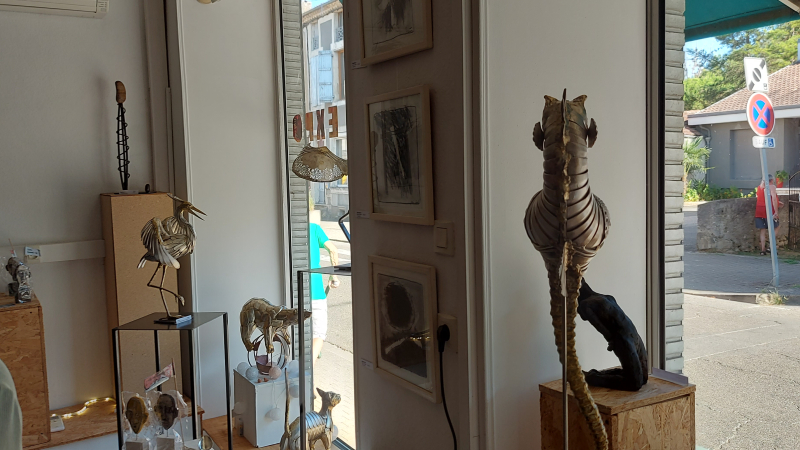 Une nouvelle exposition à découvrir à la Ligne Rouge !