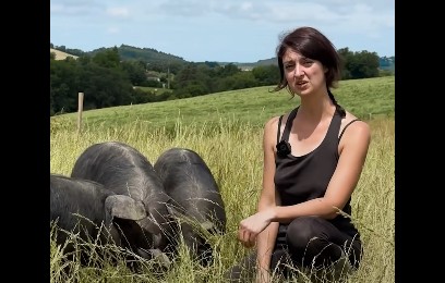 Les porcs noirs gascons