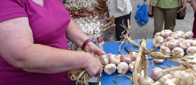L’ail à l’honneur ce jeudi 7 août à Saint-Clar avec Estiv’ail