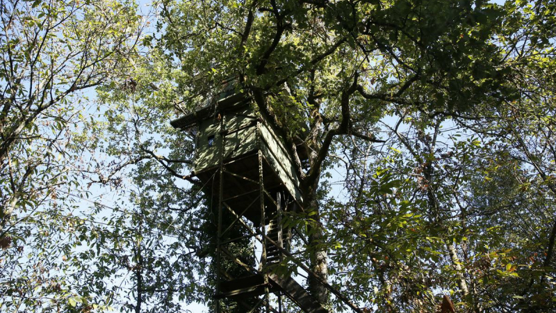 Parution prochaine de "Cabanes de chasse", un livre de passion et de nature