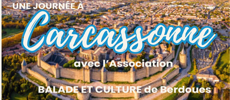 A la découverte de Carcassonne