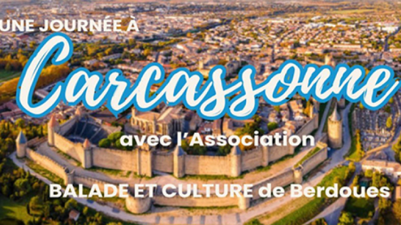 A la découverte de Carcassonne