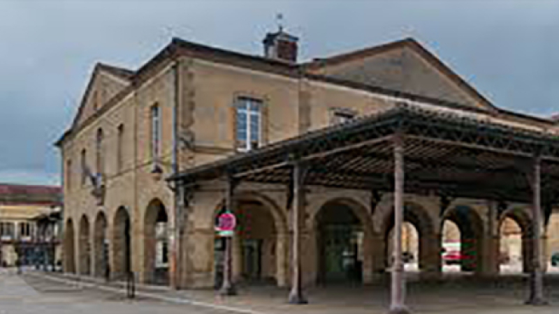 Visites guidées de la ville
