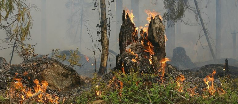 Vigilance rouge canicule : le Conseil Départemental dévoile les différentes mesures prises