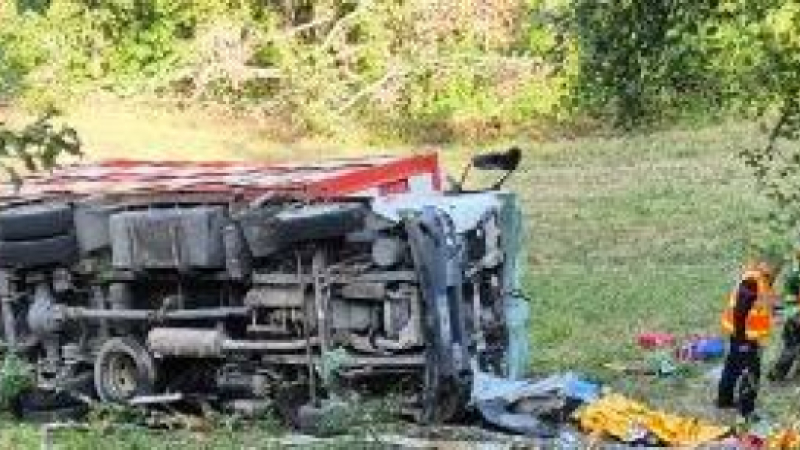 Une bétaillère se renverse, la conductrice est en urgence absolue et 22 brebis sont mortes
