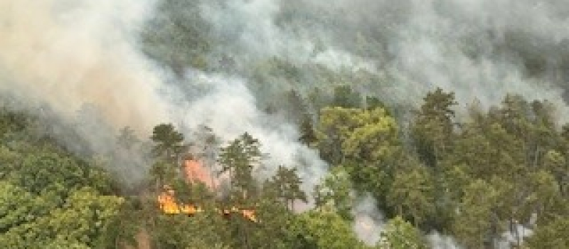 Feu de forêt : 25 ha de pinèdes dévorés par l'incendie