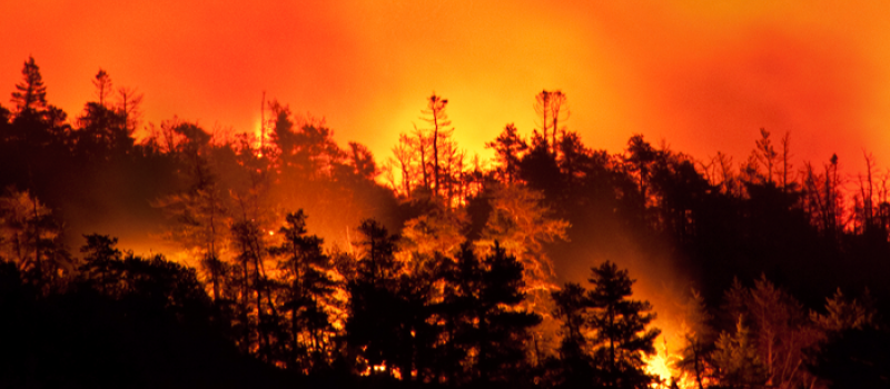 Vigilance orange feu de forêt : activation étendue des mesures de restriction des activités en forêt pour limiter le risque d’incendie