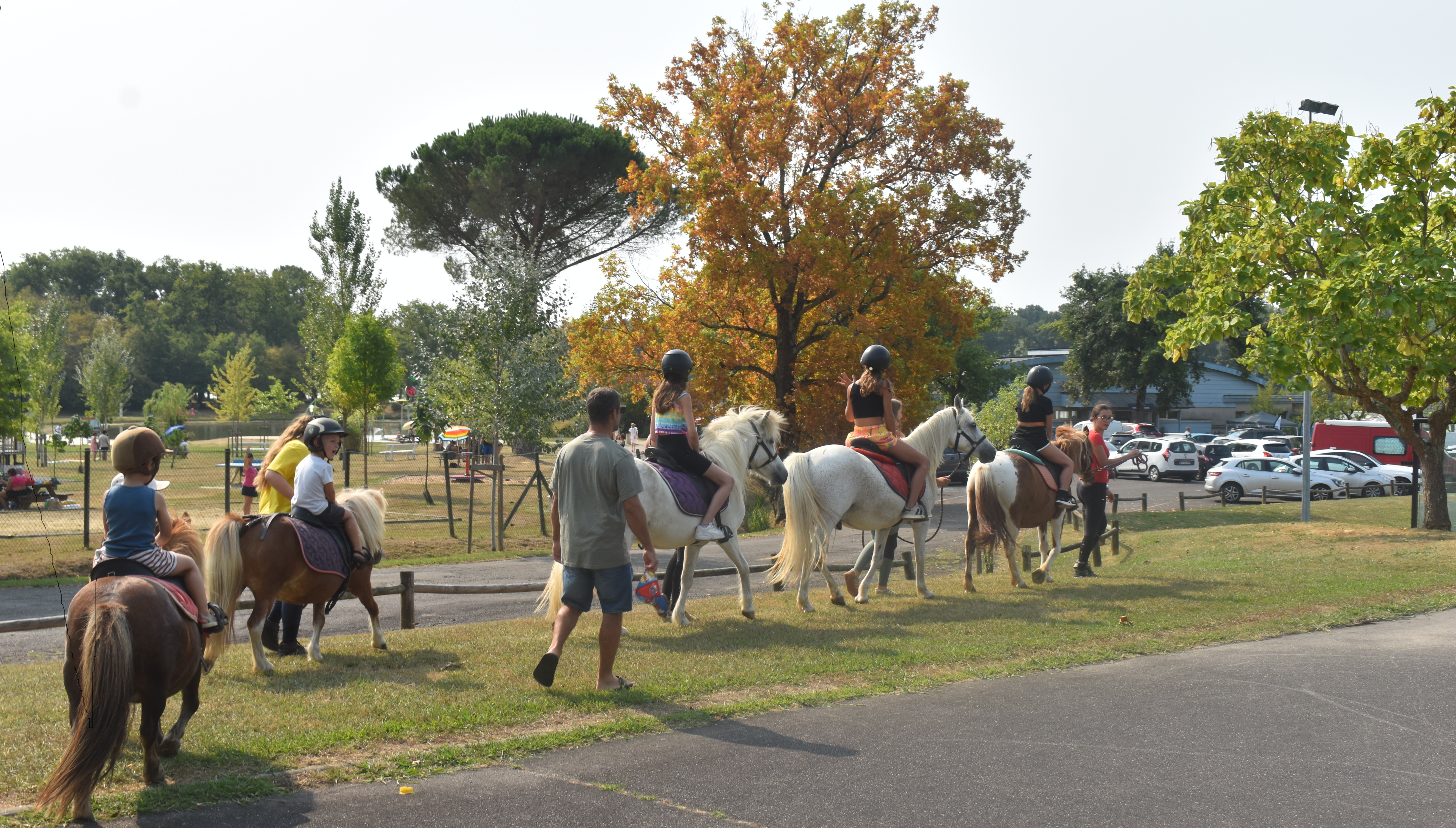 DSC_0005 - Copie (70).JPG
